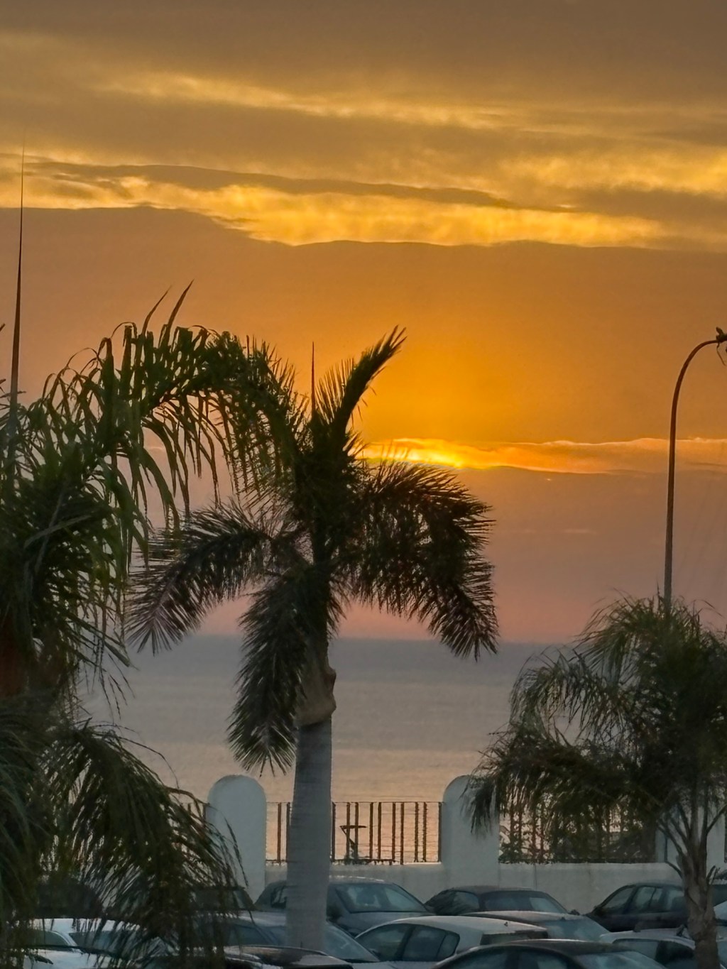 Becoming a Sovereign&nbsp;Human